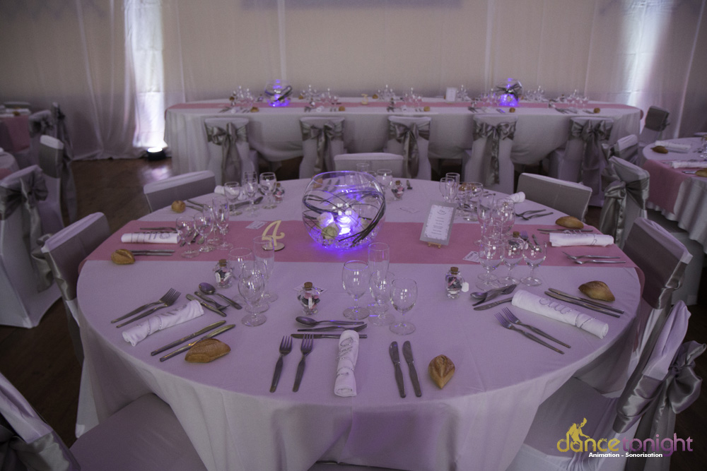 animation de mariage manche