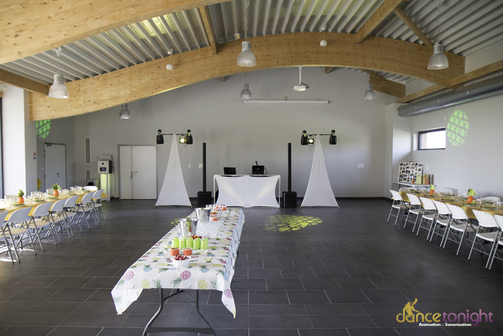 dj anniversaire manche