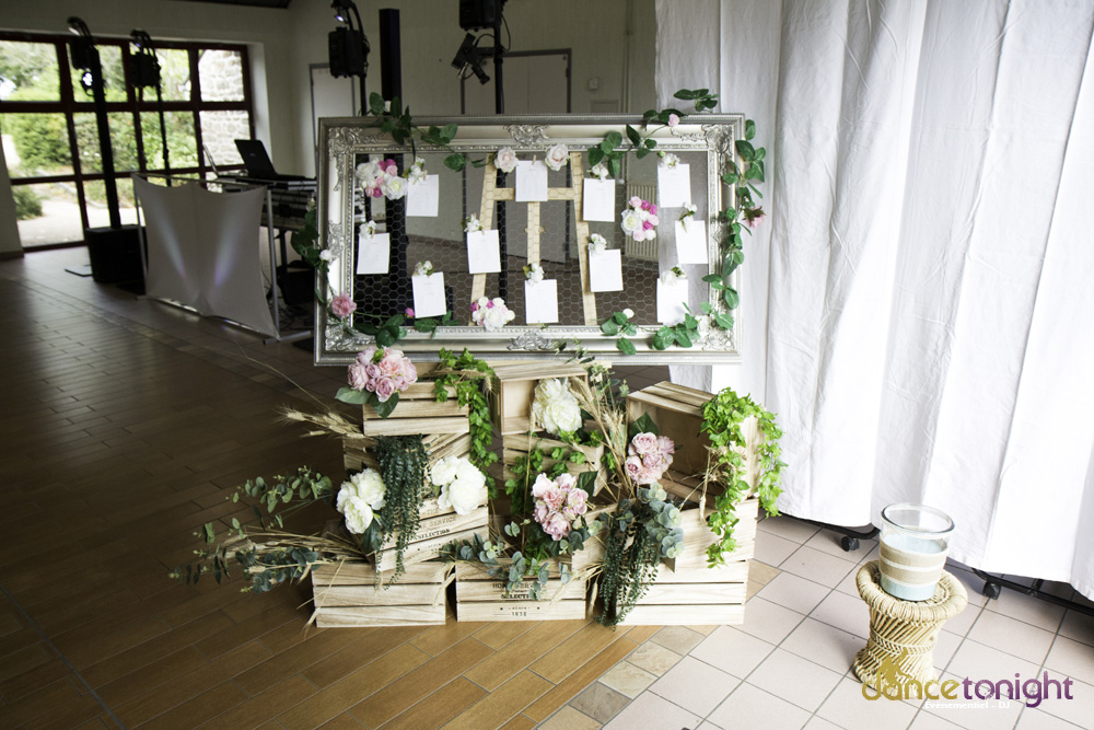 disc jockey digosville